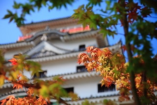 日本九州佐賀島原城