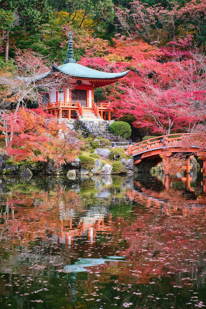 畫布無框畫 醍醐寺の紅葉 Yusheng Hsu 推薦 自然 Phootime無框畫第一品牌