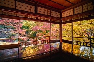 秋の瑠璃光院
