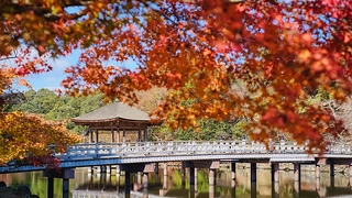浮見堂と紅葉