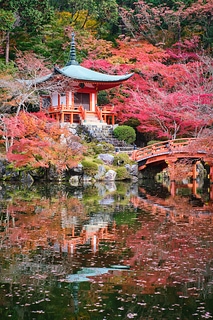 醍醐寺の紅葉