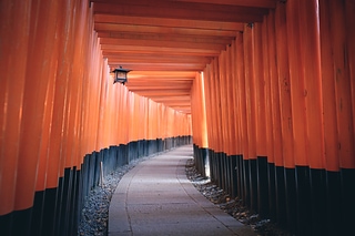 千本鳥居