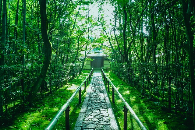 高桐院　大徳寺派