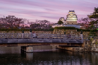 兵庫姬路城夜景