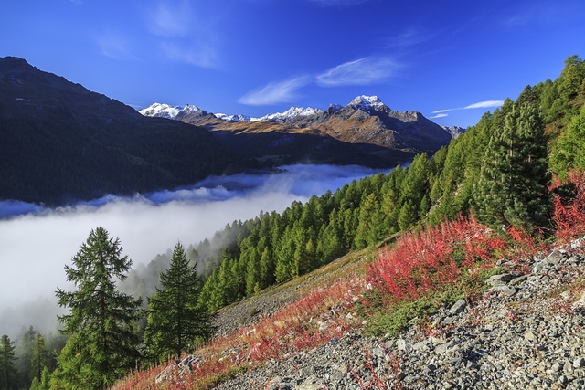 Colorful landscape in Engadine