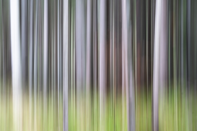 Dolomiti_AuronzoDiCadore_RiservaDiSomadi