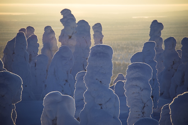 Finlandia_LapponiaRukaKuusamo_Riisituntu