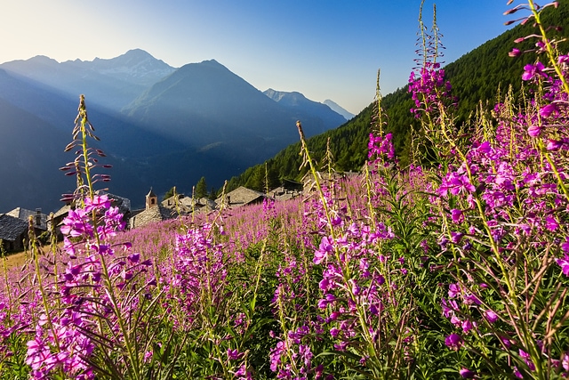 Valchiavenna_ValleSpluga-Starleggia+Fior