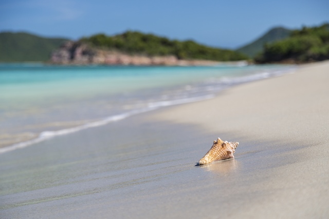Antigua SpearnBay