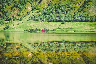 Beautiful reflection scene