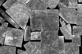 Shape by wood