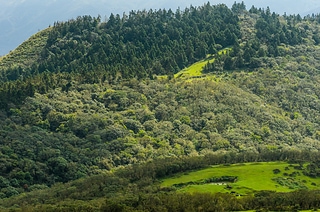 Yangmingshan National Park in Taipei
