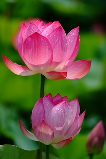 DSCF5286
