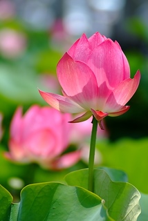 DSCF5299