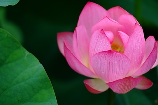 DSCF5315