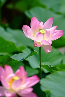 DSCF5321