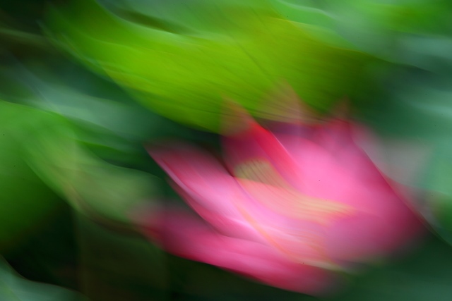 DPP_0012