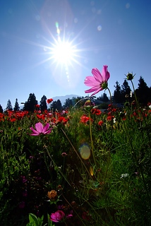 DSCF6448