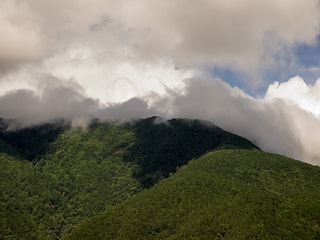 山