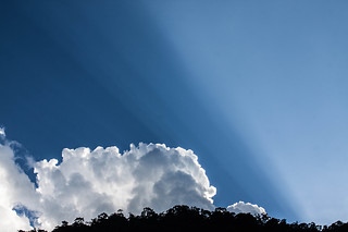 Day Light