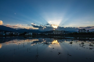 田野曙光