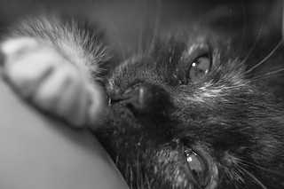 IMG_6946