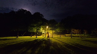 夜行