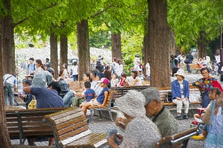 日本東京上野動物園