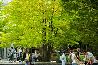 日本東京上野動物園休憩區
