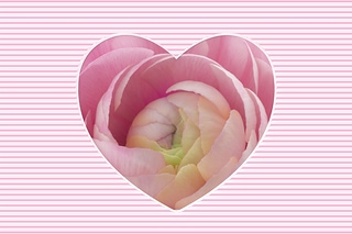 陸蓮花愛心賀卡