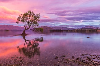 Sunrise at Lake Wanaka