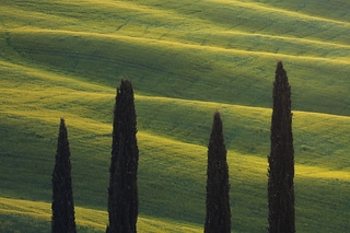 托斯卡尼特寫/Tuscany