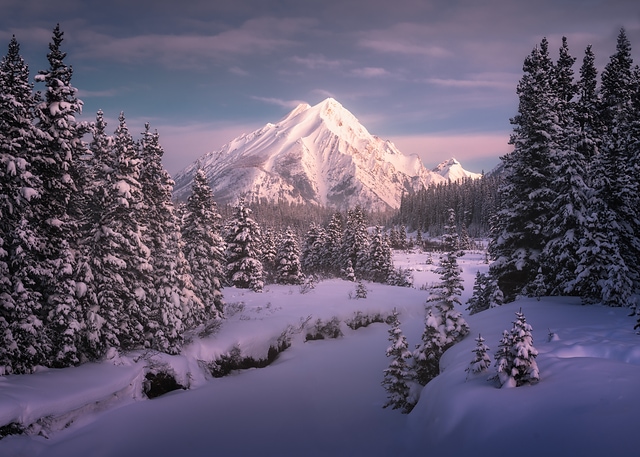 雪世界/ Snowland