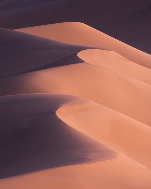 沙丘微光/The Dunes — Erik Lee