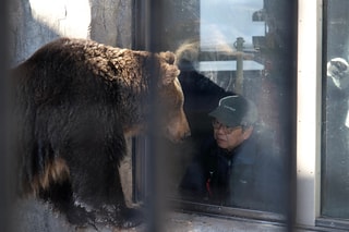 動物心靈輔導師  Psychologist for Animals