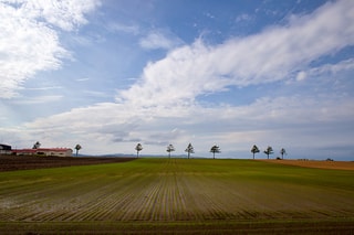 北海道的天與地  Sky and Land of Hokkaido