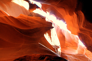 Spirit Light in Morning