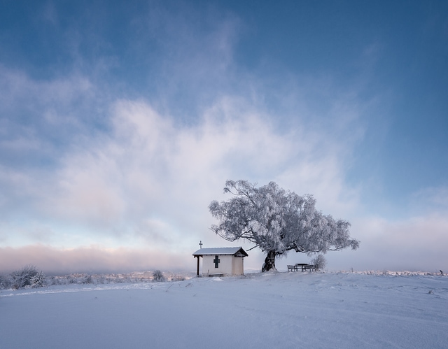 Winter