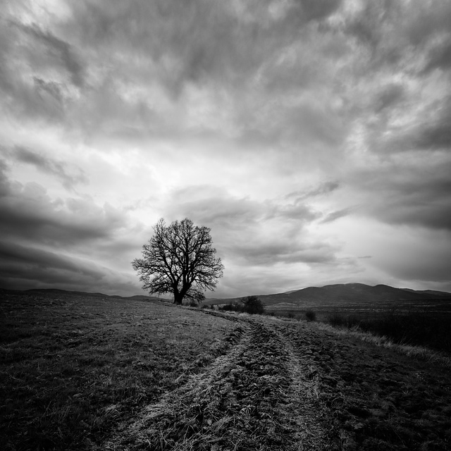 Stormy