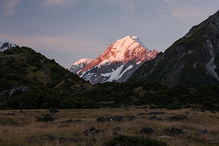 _MG_8908