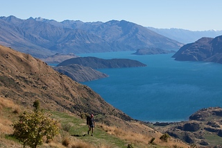Roy's Peak Track
