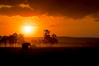Sunset in Masai Mara