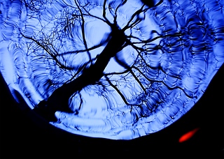 宇傷／Injury Earth