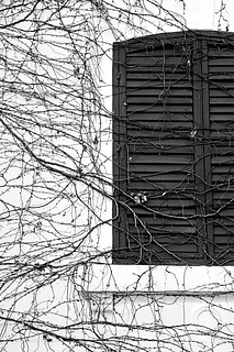 _DSC0023