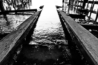 _DSC9671