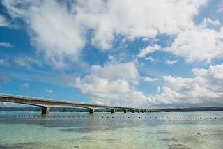 海