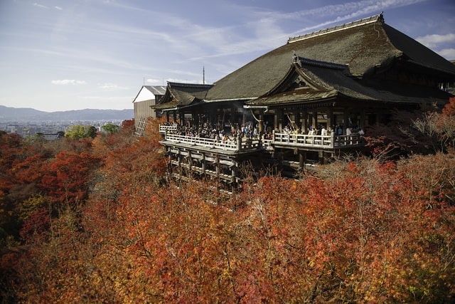 清水寺楓葉