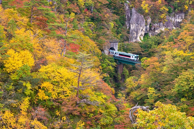 鳴子峽火車