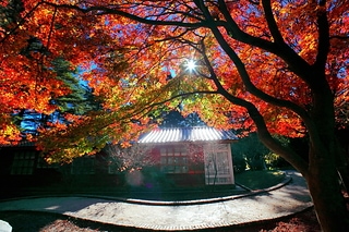 canon yeh 357