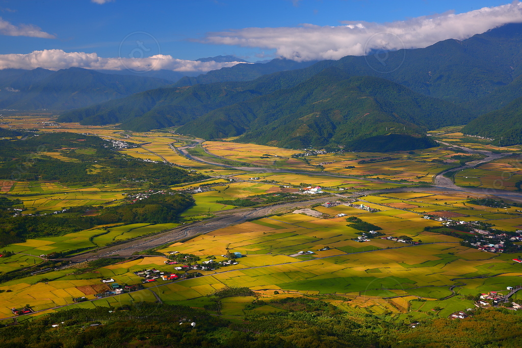 無框畫 花東縱谷 葉文推薦 風景 Phootime無框畫第一品牌